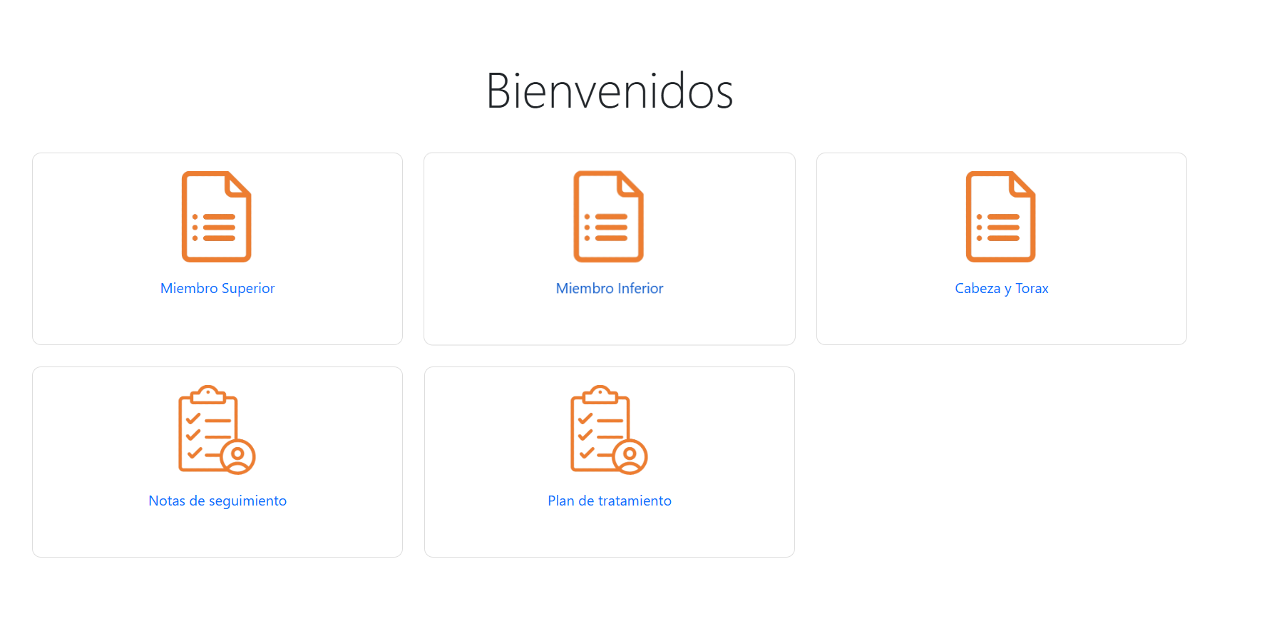 App Web Registro de Lesiones