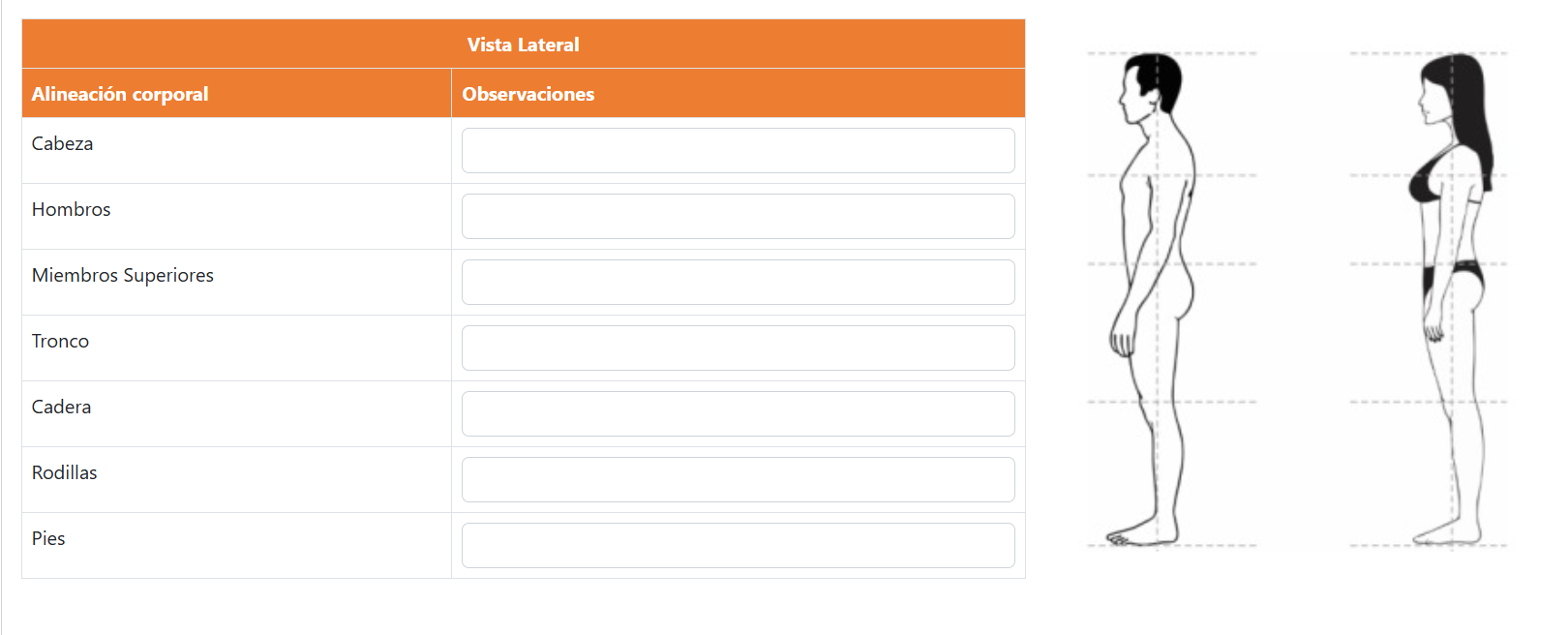 Registro de Lesiones